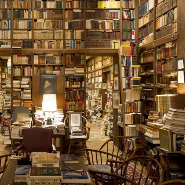 Смисао писања у (н)овом веку – ламентирање достојно античке трагедије Смисао писања у (н)овом веку – ламентирање достојно античке трагедије